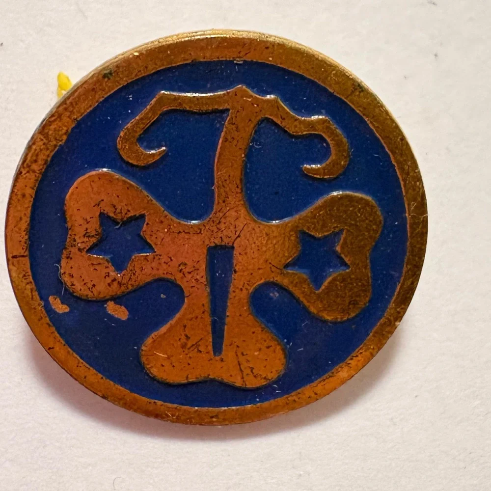 Vintage Boy/Girl Scout blue and gold tone metal badge pin Brooch